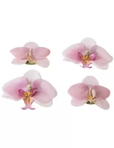 Vijver Vijvertechniek Drijvende Vijverplant Orchidee Roze 7/9Cm