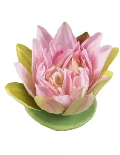 Vijver Vijvertechniek Drijvende Vijverplant Lotus Roze 13Cm
