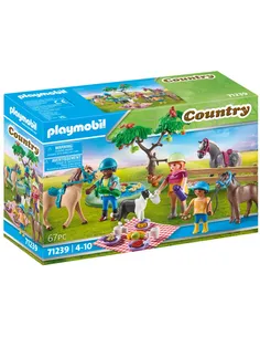 Playmobil Picknick Excursie Met Paarden
